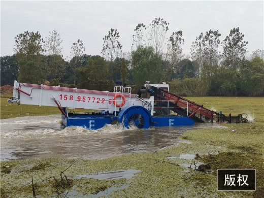 江苏扬州水葫芦打捞船现场