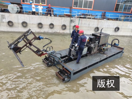 水陆两栖割草船试机