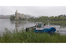小型全自动割草船在威海的现场视频