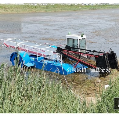 河北沧州【全自动割草船】现场视频